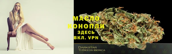 дживик Абаза