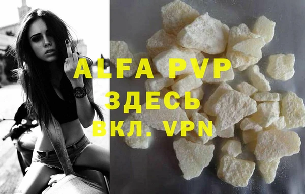 дживик Абаза