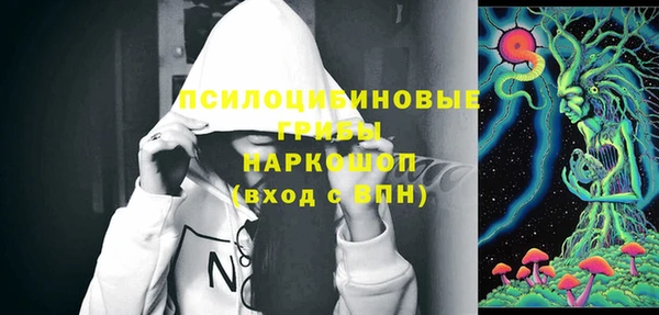 дживик Абаза