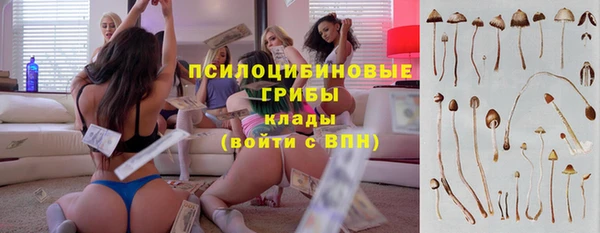 дживик Абаза